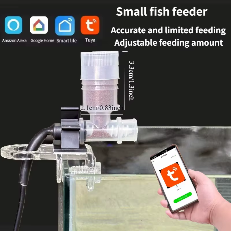 Small fish feeder