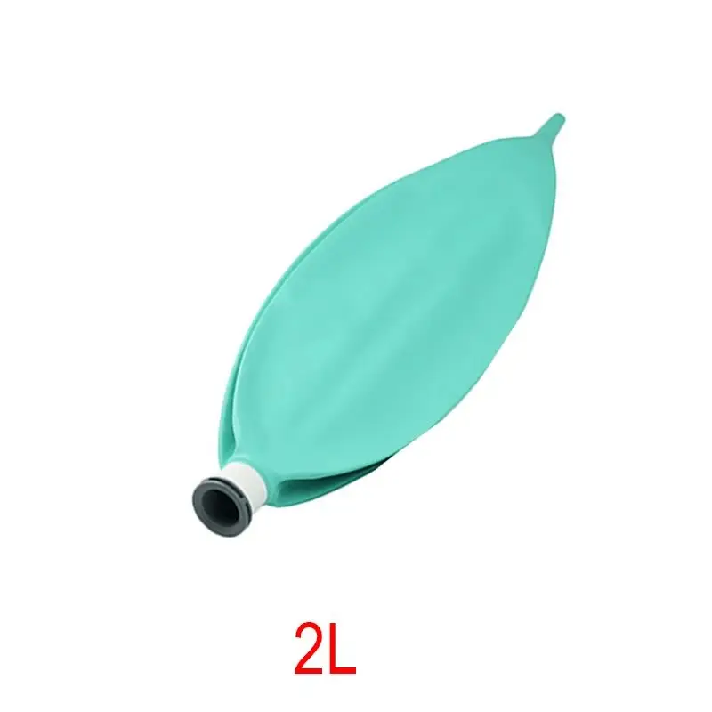 2L