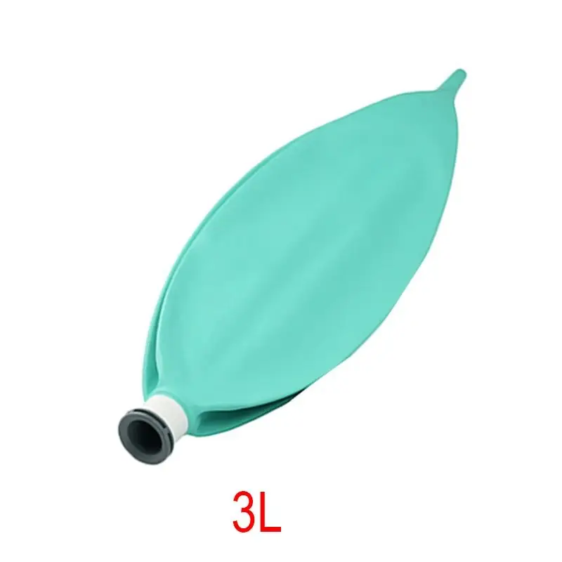 3L