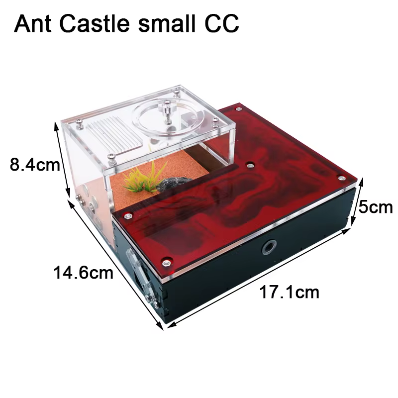 Ant Small CC