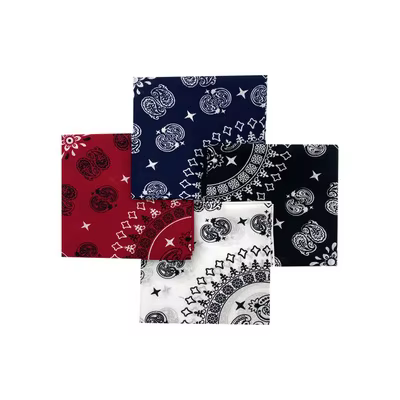 100% Cotton Double Paisley Punk Hip Hop Headwear Kerchief Bandanas Foulard Neckerchief Square Scarf for Women/Men/Boys/Girls