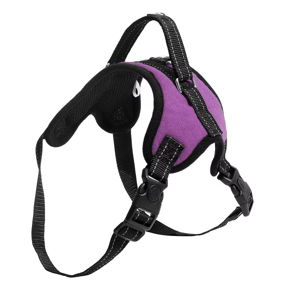 Petal Air Pull Purple Tam. G Mimo - PP328