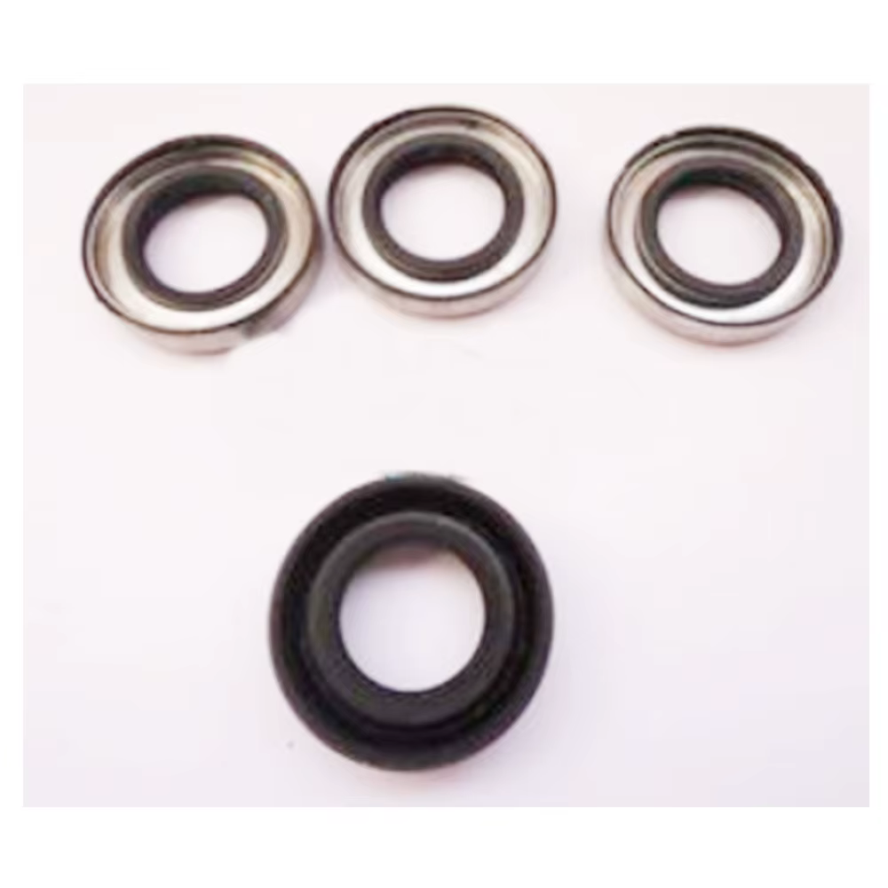 Antique 20 / 25 Johnson Rabeta Retainer Kit
