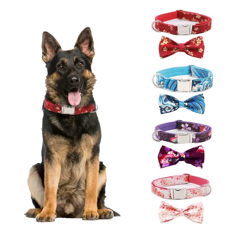 Customized Dog Collar with Personalized Pet Strap, Adjustable Leash Set, Available in Multiple Colors