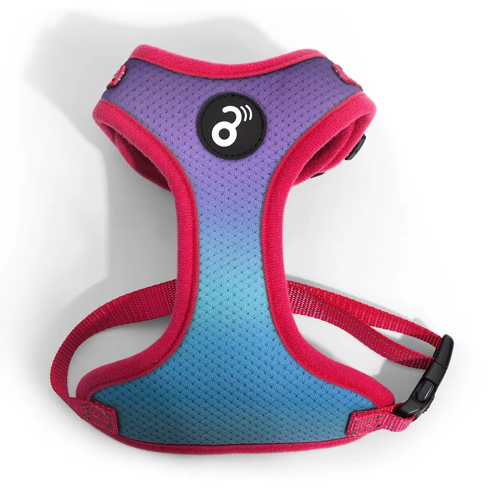 Purple and Green Tam Flow Mesh chest. PP Mimo - PP316