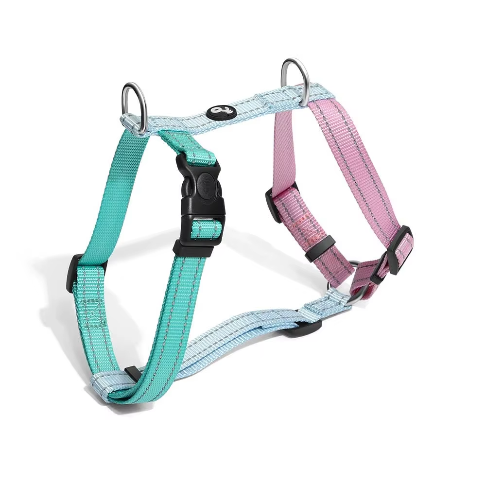 Green and Pink H pectoral Tam. G Mimo - PP284