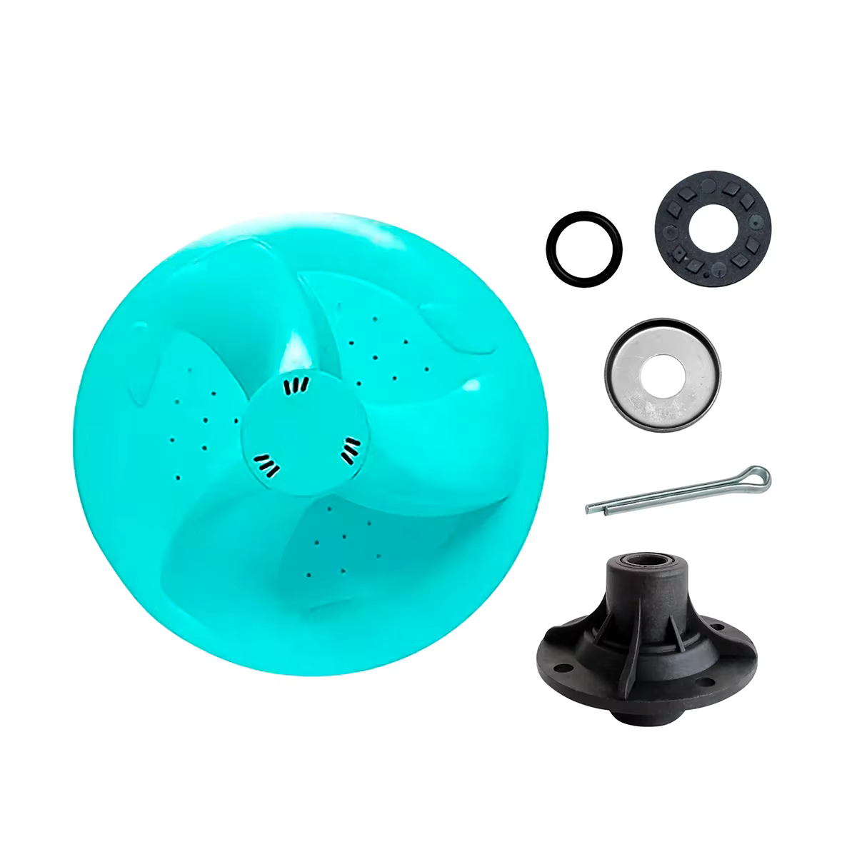 Sapphire Shaker Jade Rubi La551 La553 La555 Latina Full