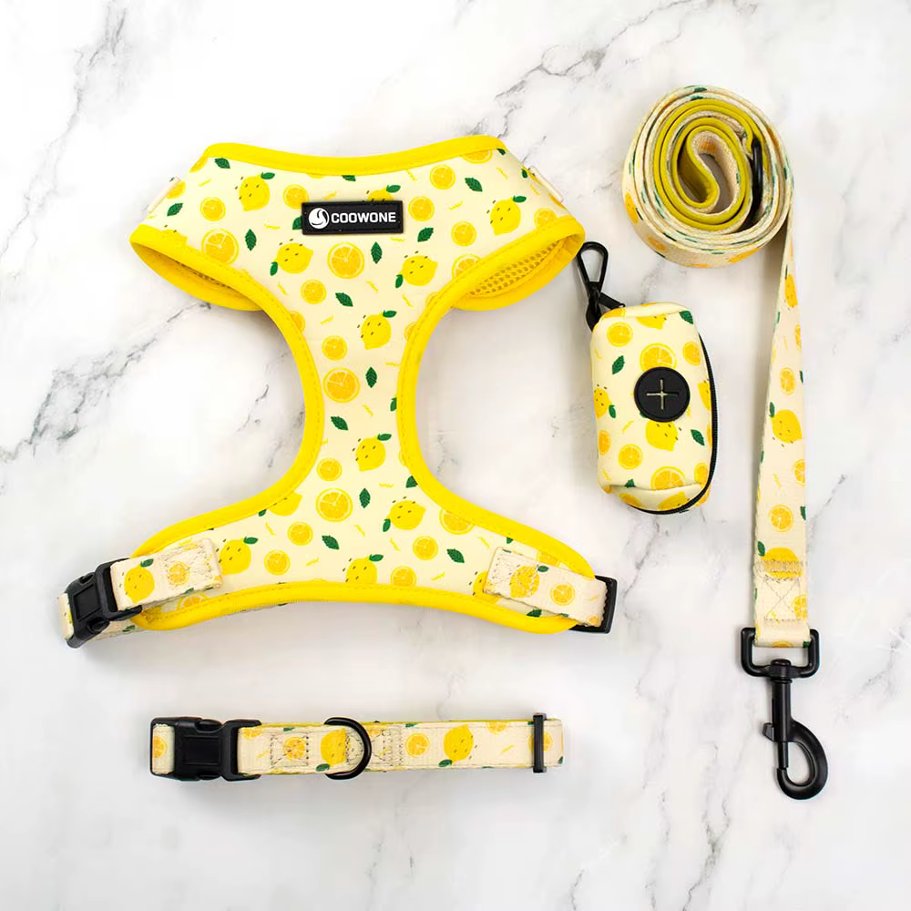 Collarlogo Adjustable Pet Dog Collar Durable Soft Cute Creative Lemon Design Leash Neoprene Harness Poop Poo Bag Dispenser