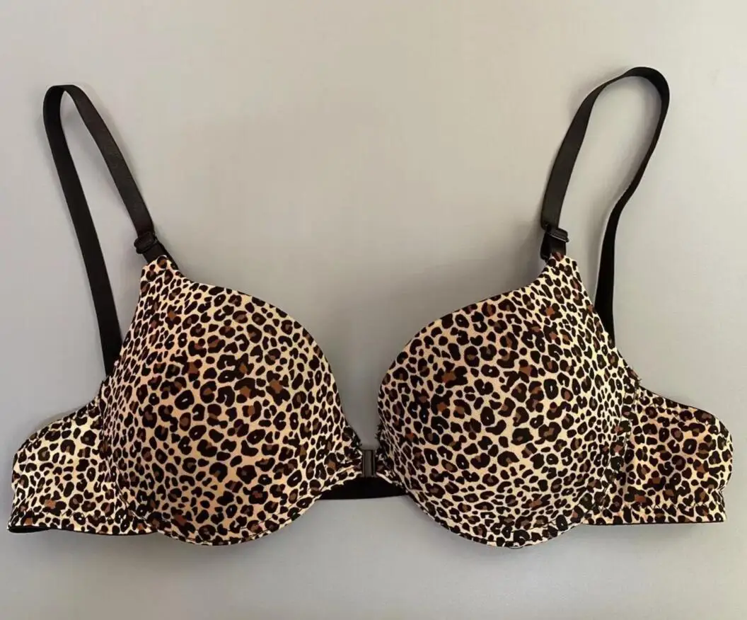 1 leopard