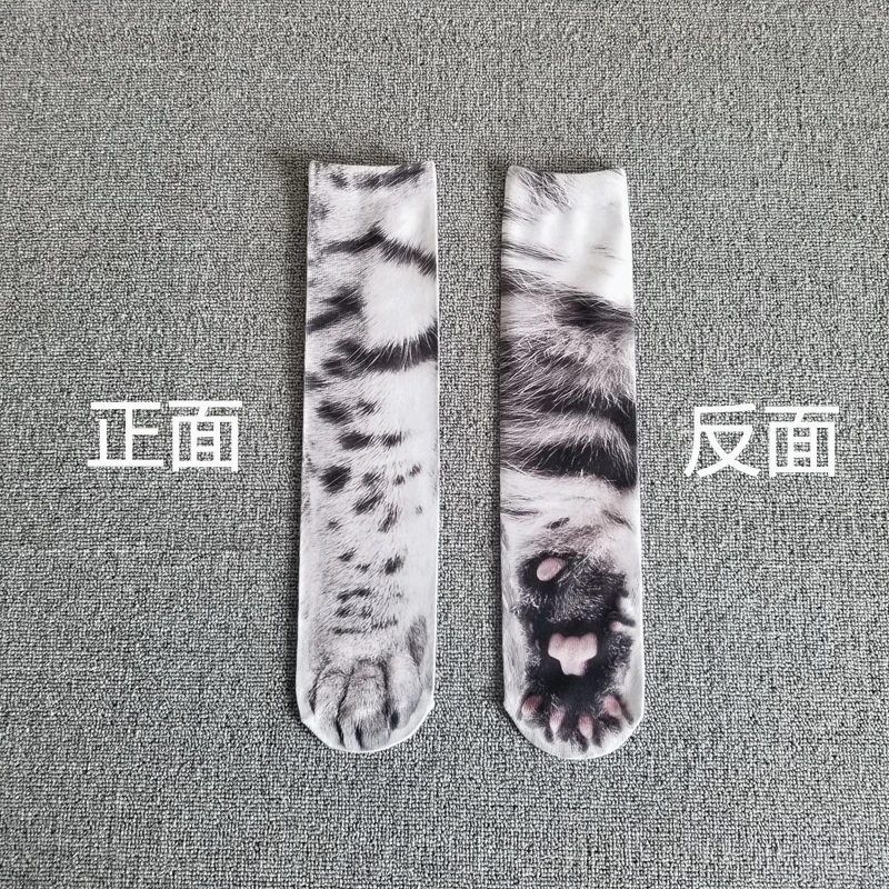 Black and white cat