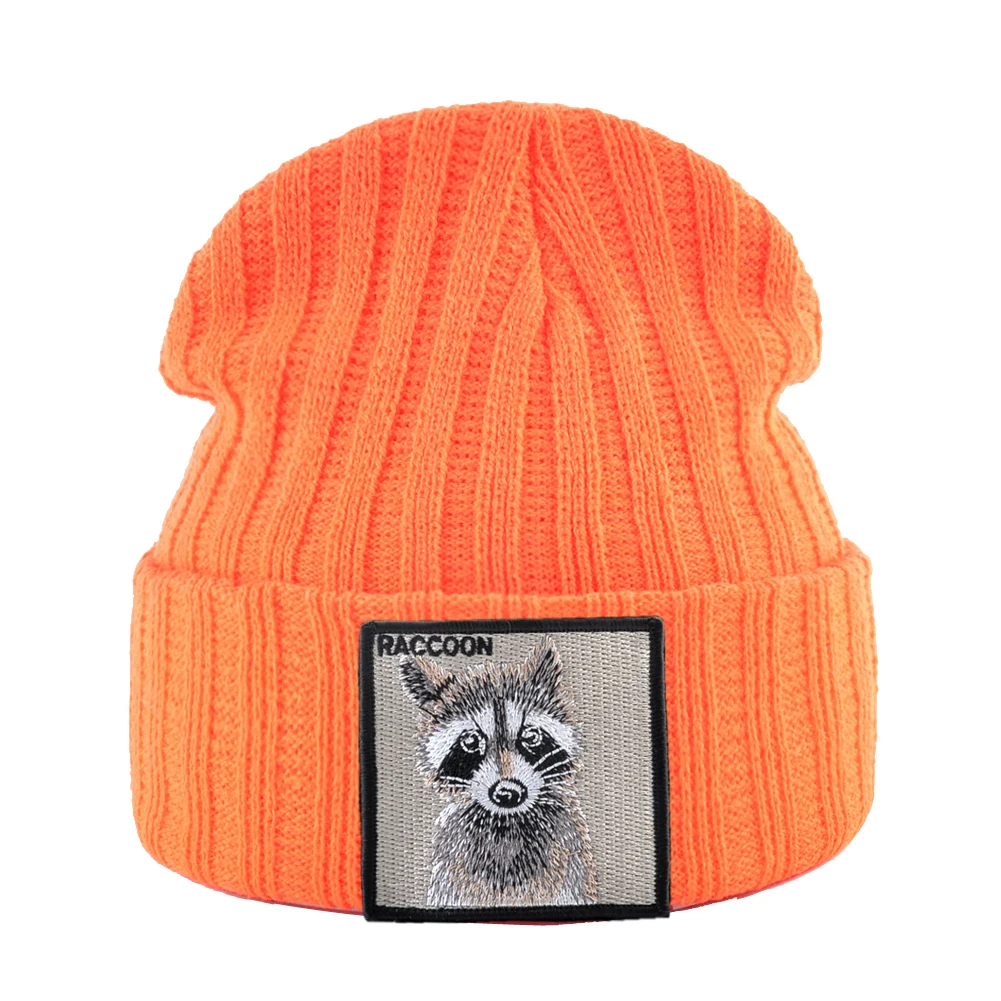 Orange Raccoon