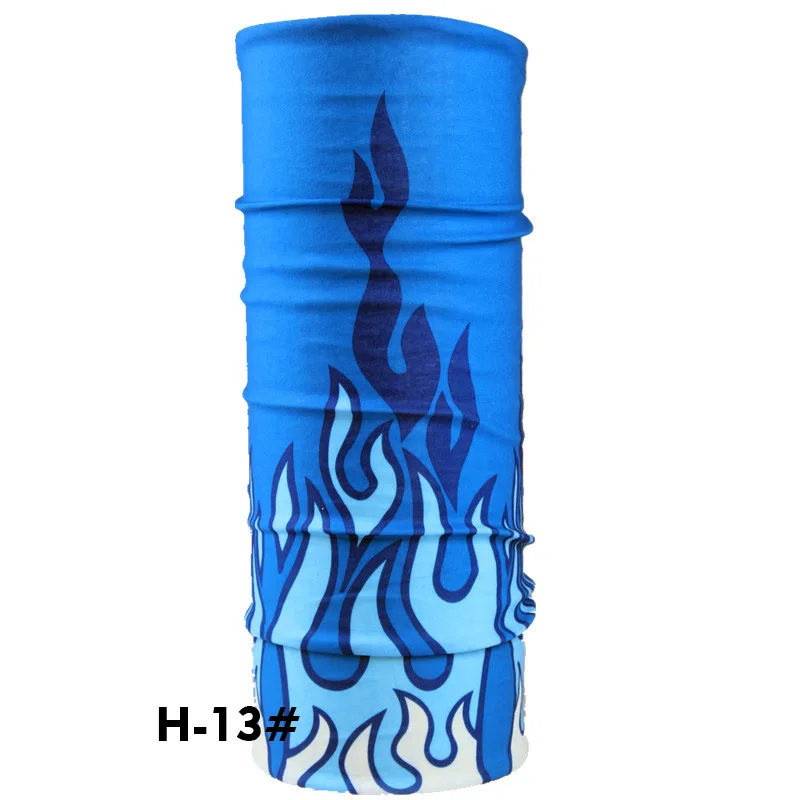 H13
