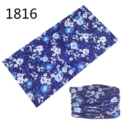 1816