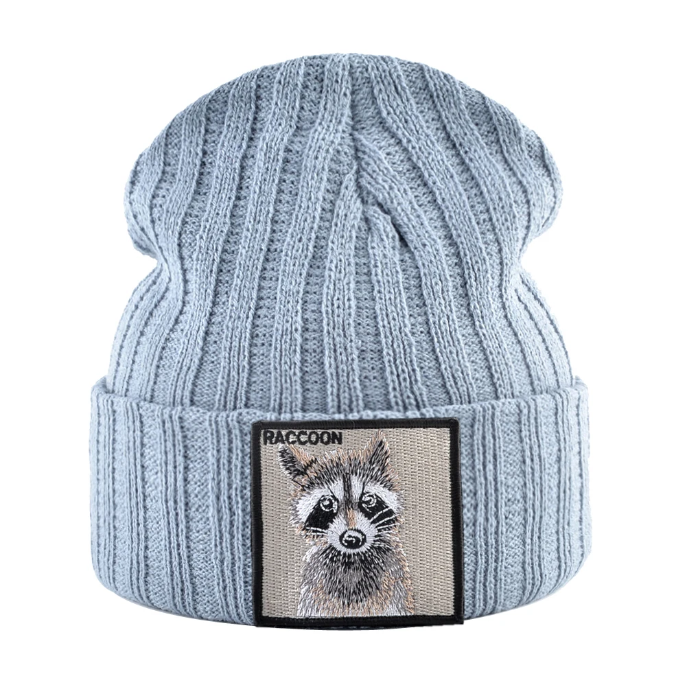 Gray Raccoon