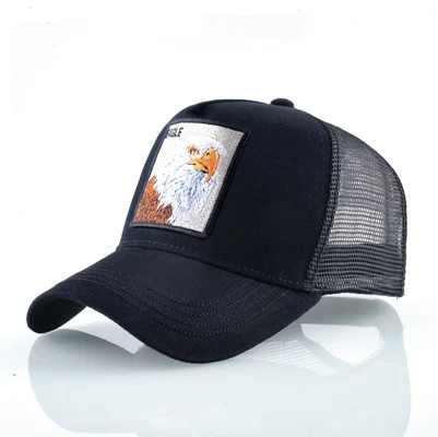 Black Eagle Head