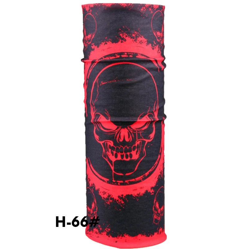 H66