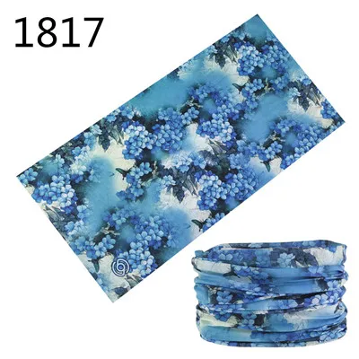 1817
