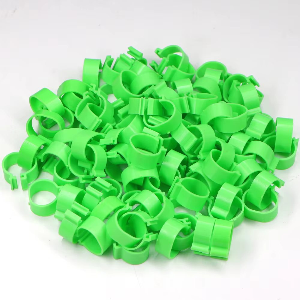 Green 100PCS