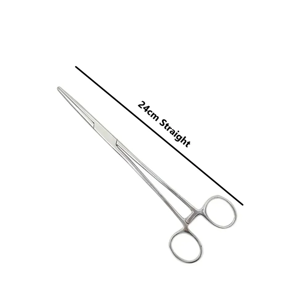 24cm-B