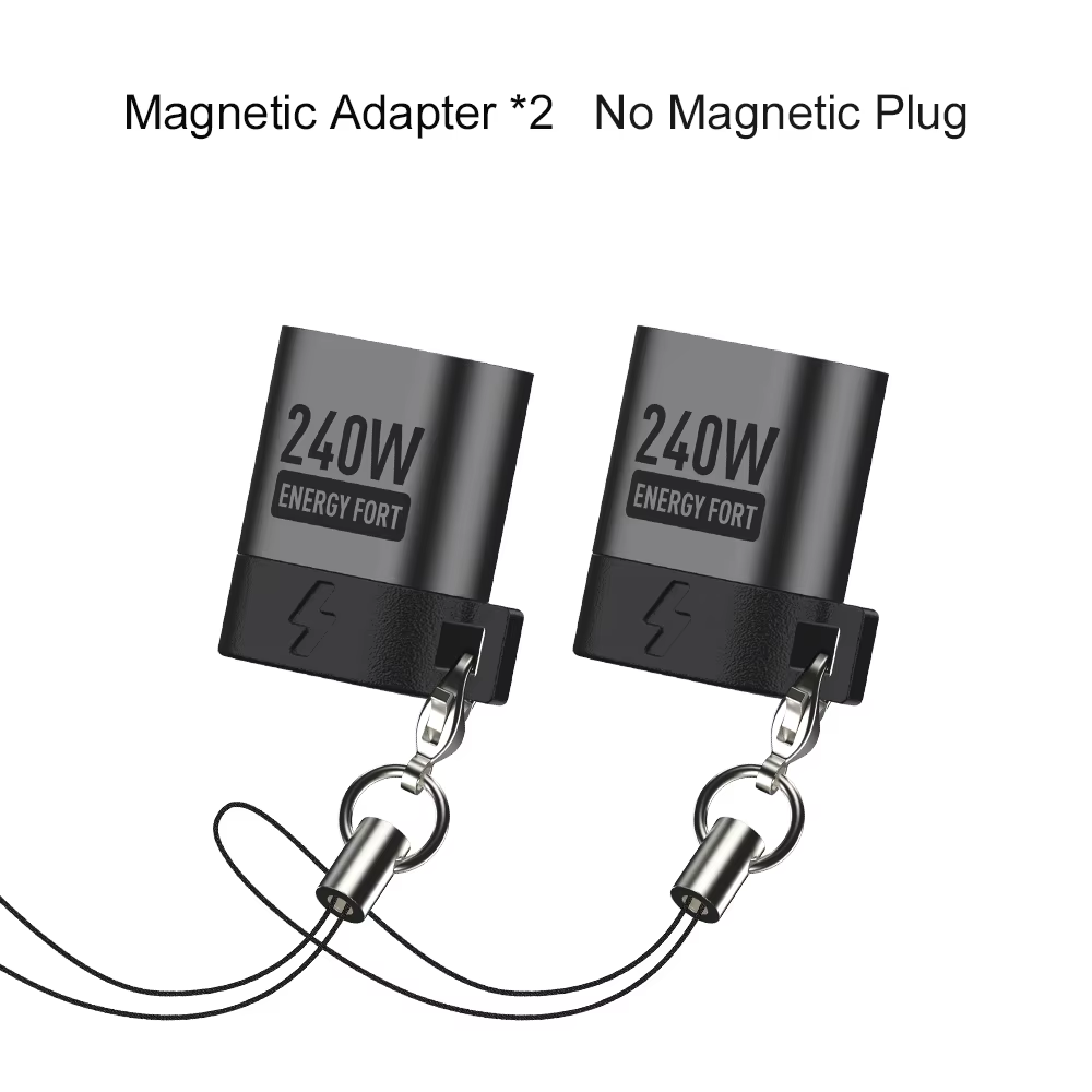 Type C Adapter x 2