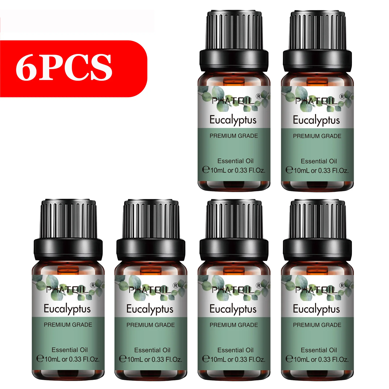 6pcs Eucalyptus