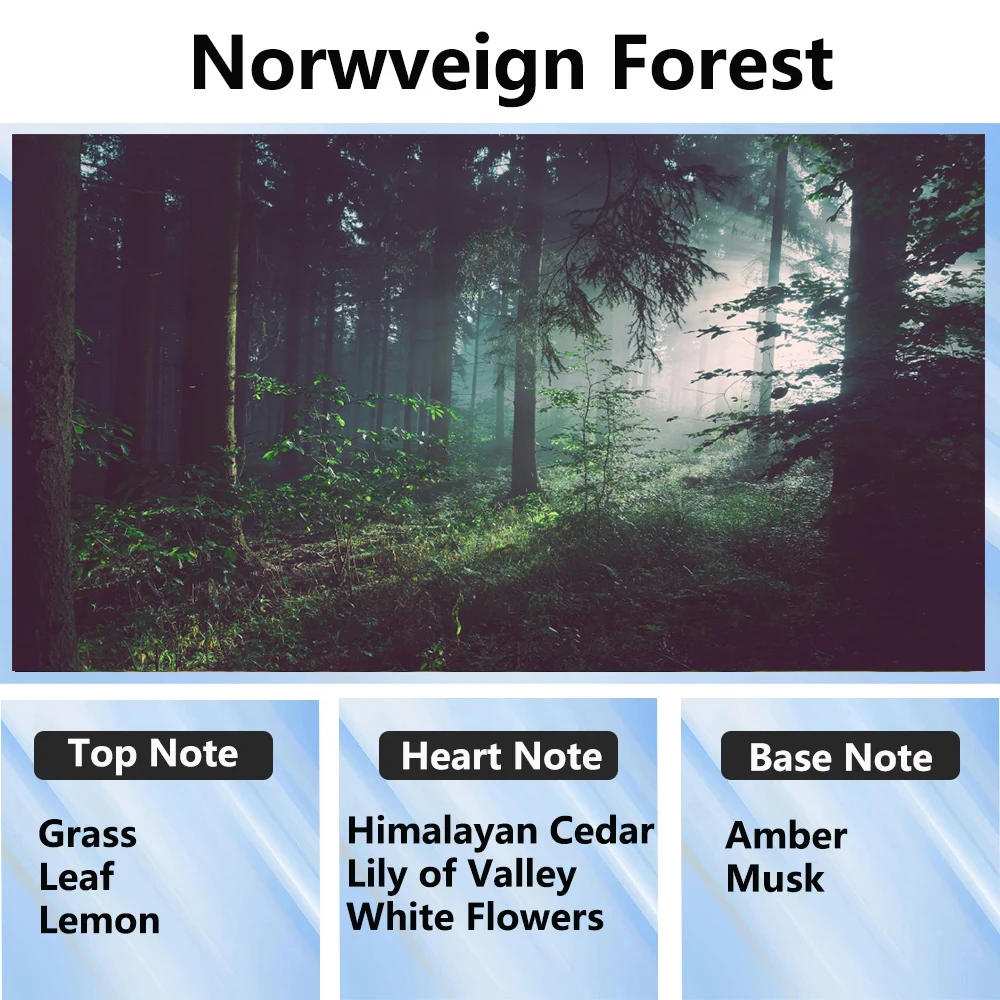 Norveign Forest