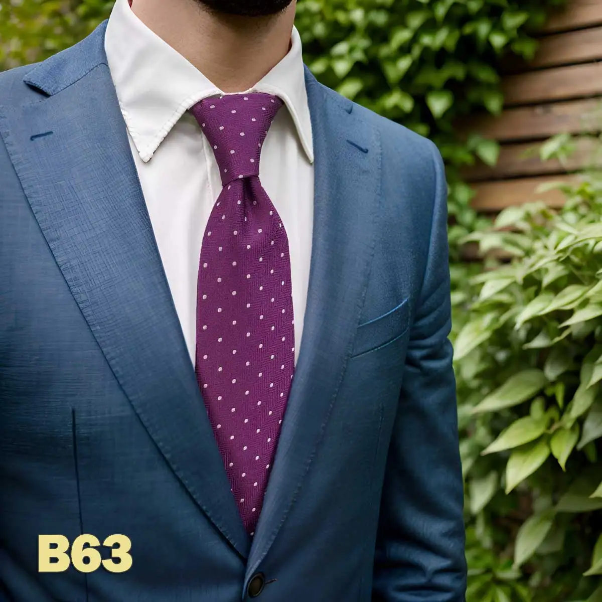 BS63