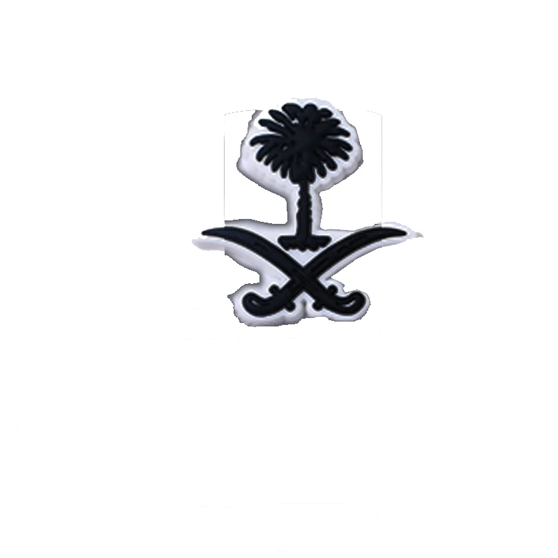 SAUDI 20 pieces