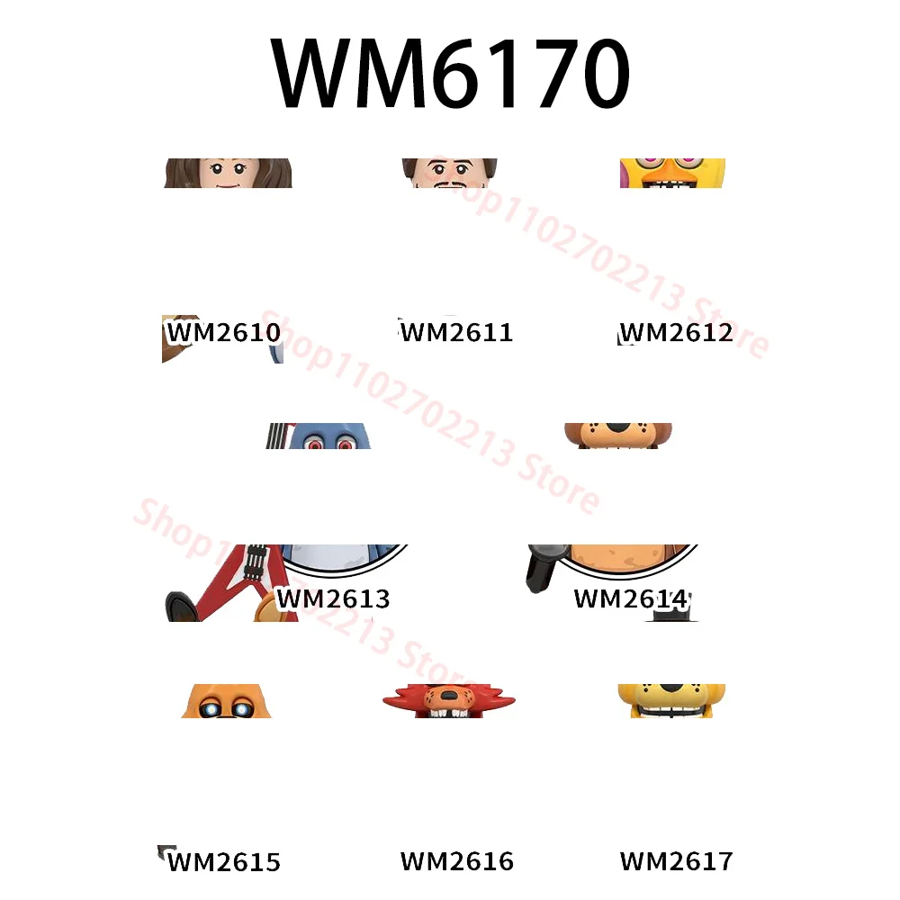 WM6170
