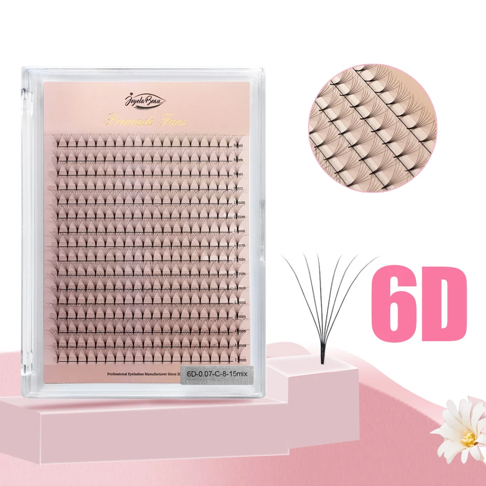 6D