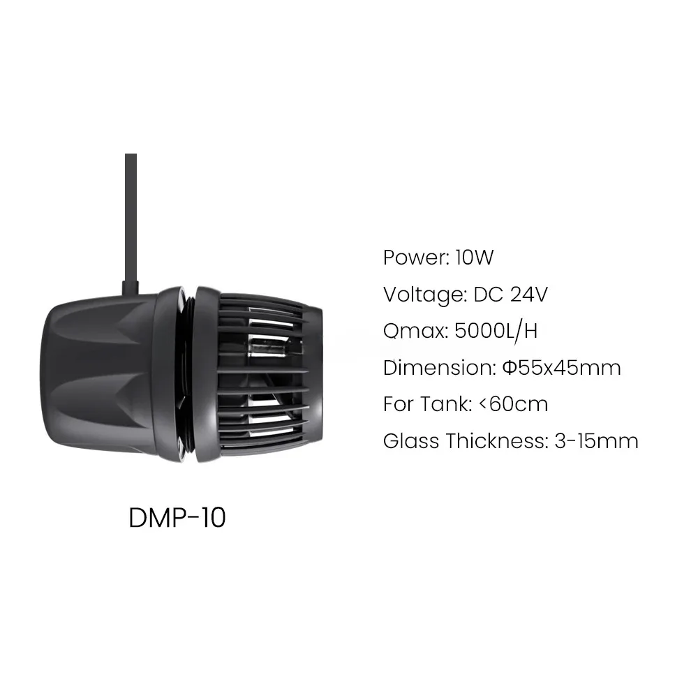 DMP-10