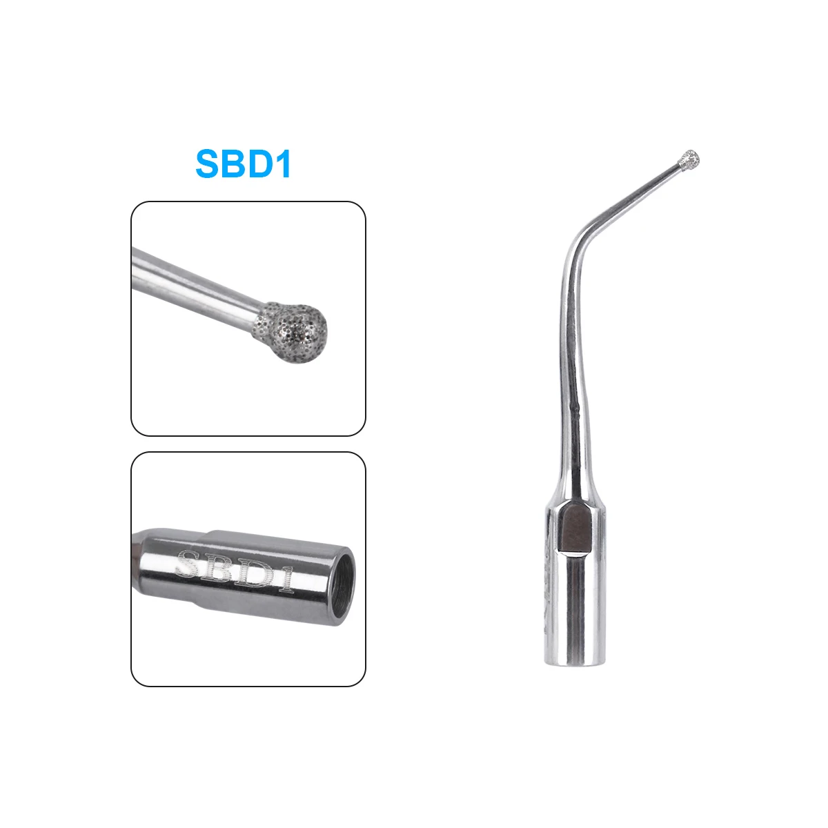 SBD1