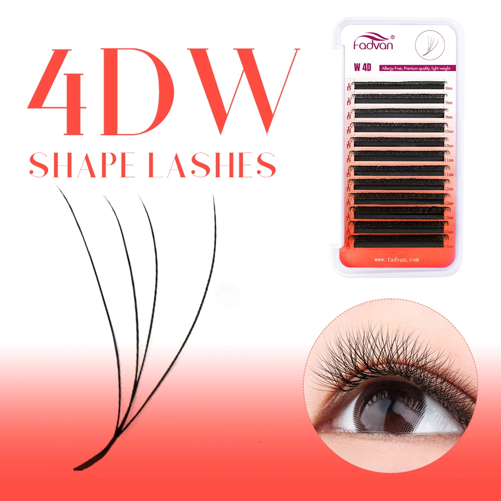 4D W
