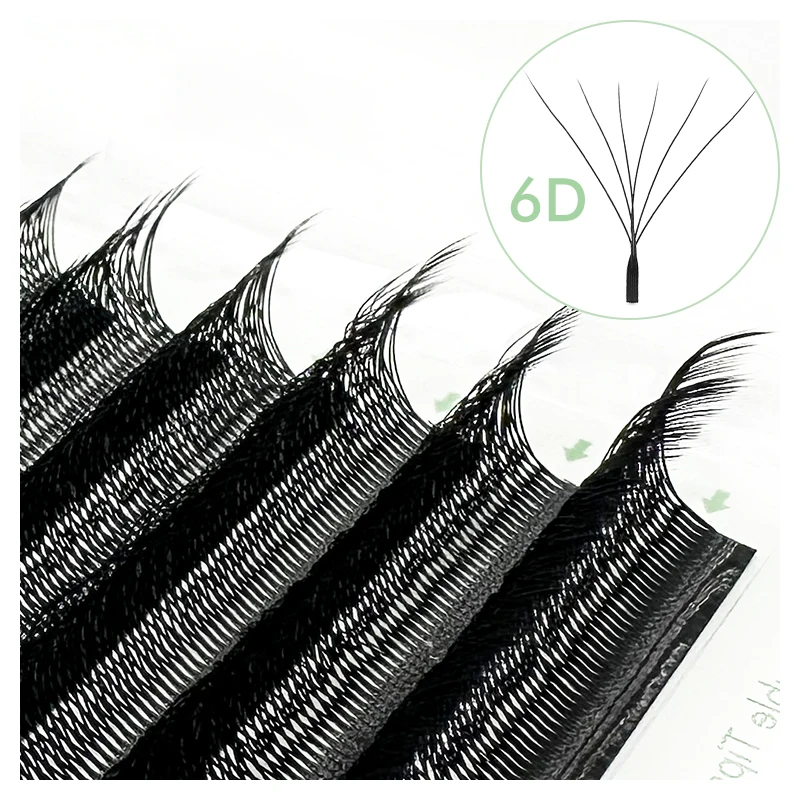 6D Black