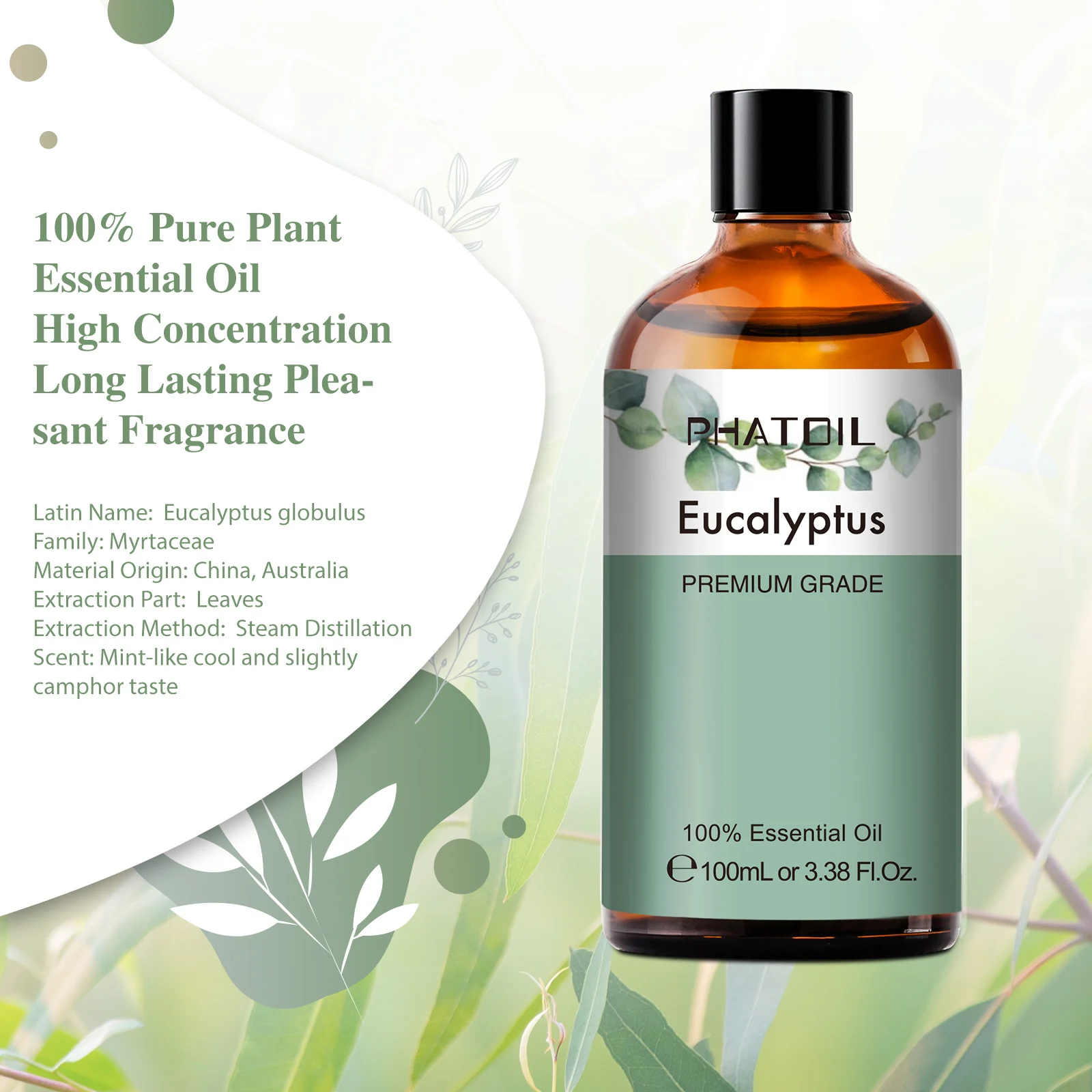 Eucalyptus