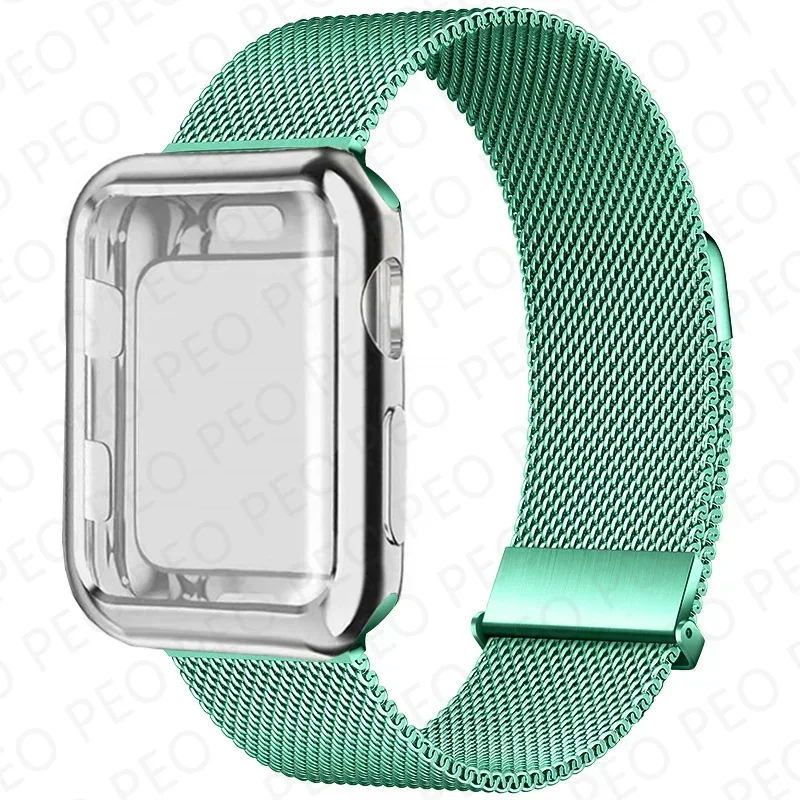 spearmint 20