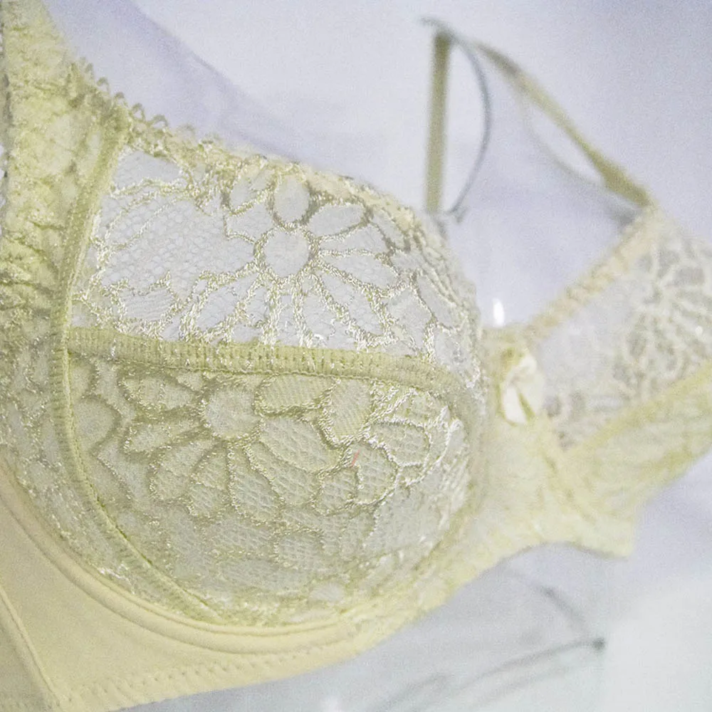 Plus Size Women Lace Bras Perspective Breathable Lager Bosom Bralette Underwired Embroidery Silky Touch BH Top B C D DD E F Cup