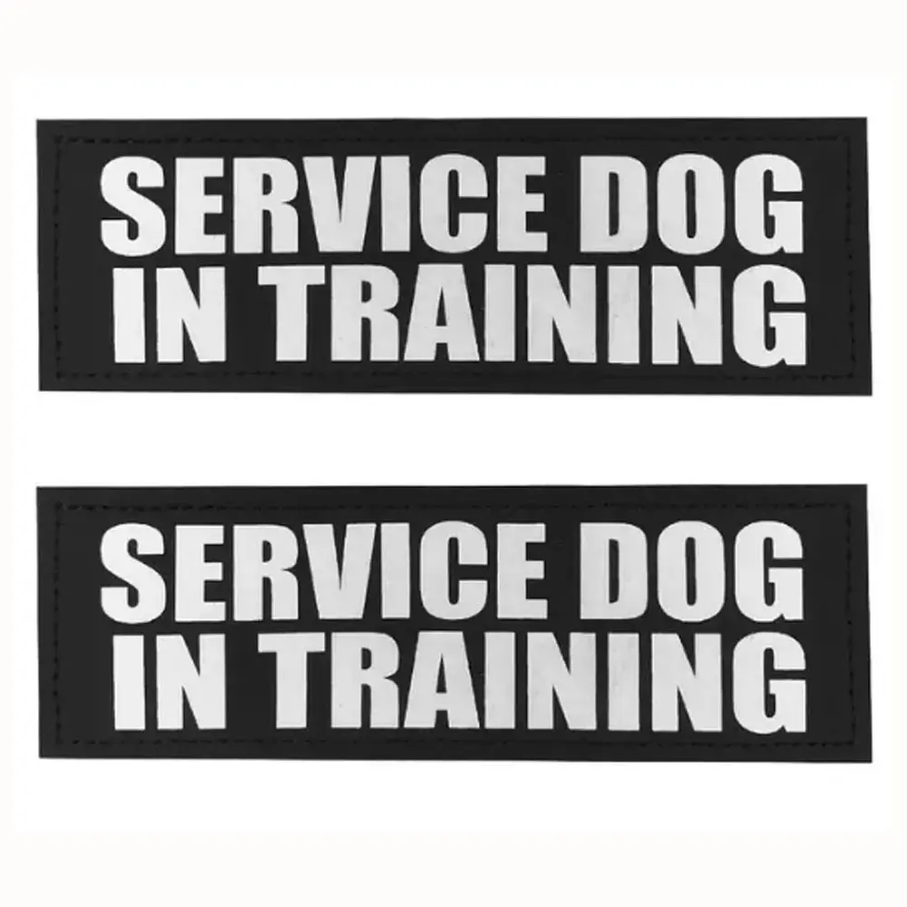 Service training