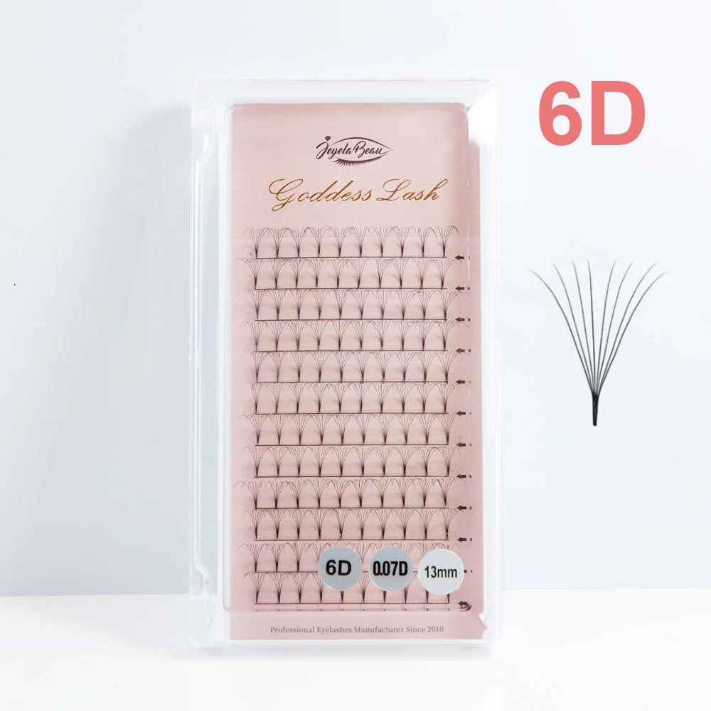 6D