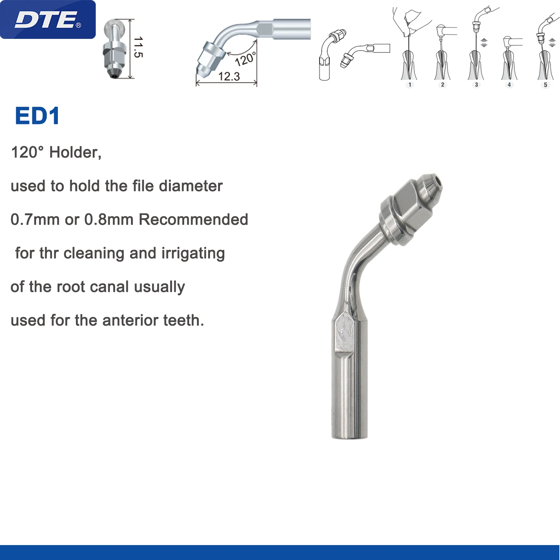 ED1